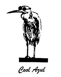 COOL AZUL logo