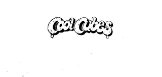 COOL CUBES logo