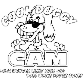 COOL DOGGY CAM, EVER WONDER WHAT YOUR DOG DOES WHEN YOU'RE NOT HOME logo