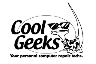 COOL GEEKS YOUR PERSONAL COMPUTER REPAIR TECHS. logo