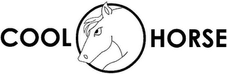 COOL HORSE logo