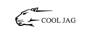 COOL JAG logo