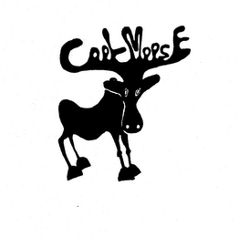 COOL MOOSE logo