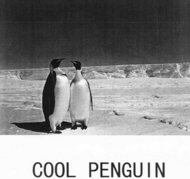 COOL PENGUIN logo