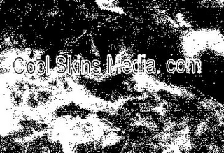 COOL SKINS MEDIA. COM logo