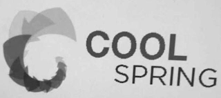COOL SPRING logo