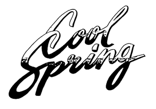 COOL SPRING WATER logo