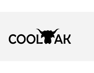 COOL YAK logo