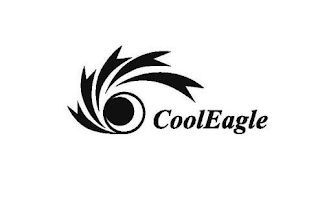 COOLEAGLE logo