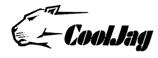 COOLJAG logo