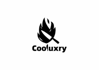 COOLUXRY logo