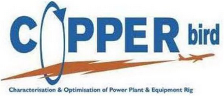 COPPER BIRD CHARACTERISATION & OPTIMISATION OF POWER PLANT & EQUIPMENT RIG logo