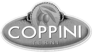 COPPINI TERNI DAL 1955 logo
