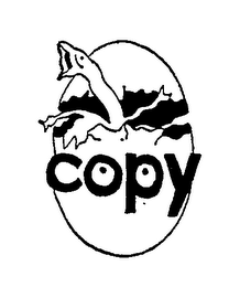 COPY