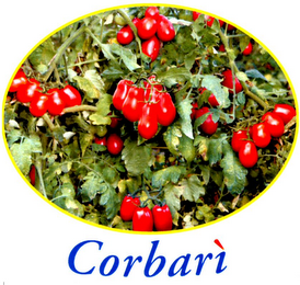 CORBARÌ logo