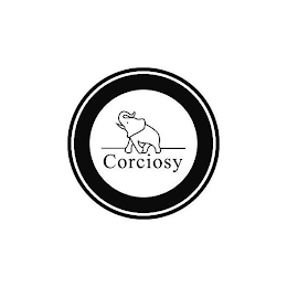 CORCIOSY logo