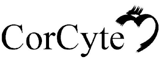 CORCYTE logo