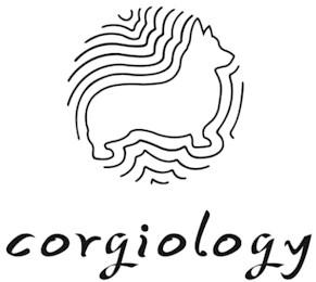 CORGIOLOGY logo