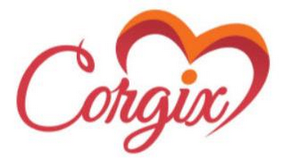 CORGIX logo