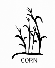 CORN logo