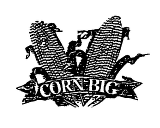 CORN BIG logo