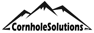 CORNHOLESOLUTIONS .COM logo