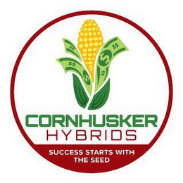 CORNHUSKER HYBRIDS SUCCESS STARTS WITH THE SEED logo