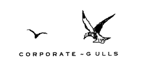 CORPORATE - GULLS logo