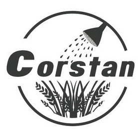 CORSTAN logo