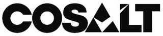 COSALT logo