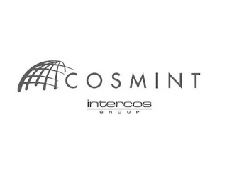 COSMINT INTERCOS GROUP logo