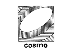 COSMO logo