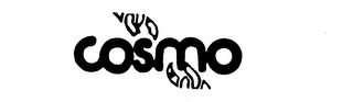 COSMO logo