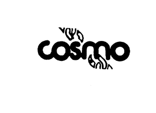 COSMO logo