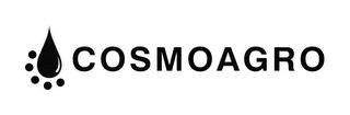 COSMOAGRO logo