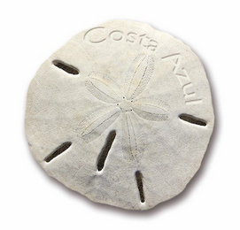 COSTA AZUL logo