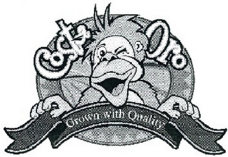 COSTA ORO GROWN WITH QUALITY logo