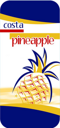 COSTA PINEAPPLE logo