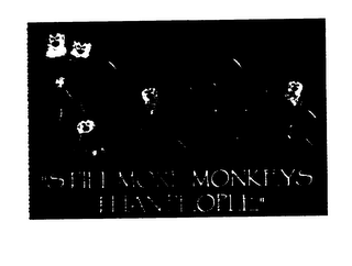 COSTA VERDE STILL MORE MONKEYS THANPEOPLE logo