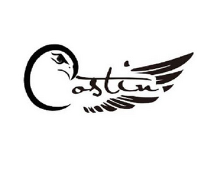 COSTIN logo