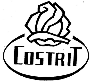 COSTRIT logo