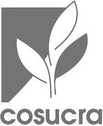 COSUCRA logo