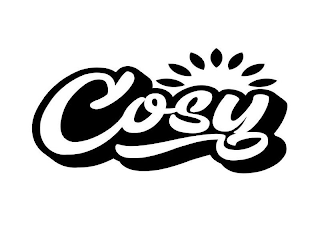 COSY logo