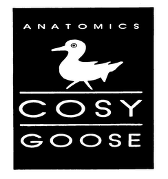 COSY GOOSE ANATOMICS logo