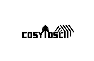COSY105C logo