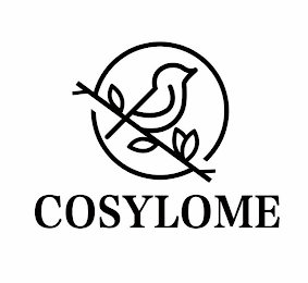 COSYLOME logo
