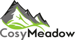 COSYMEADOW logo