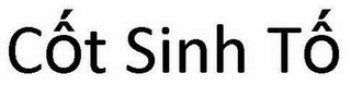 COT SINH TO logo