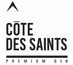COTE DES SAINTS PREMIUM GIN logo