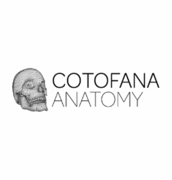 COTOFANA ANATOMY logo